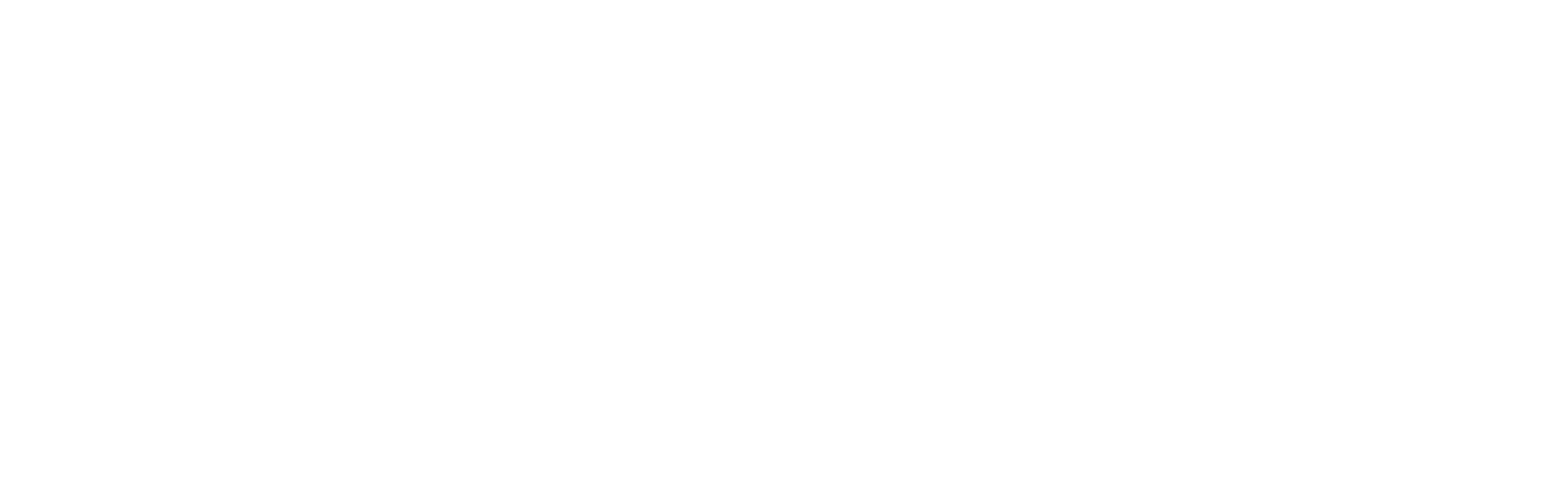 New York Nails Logo